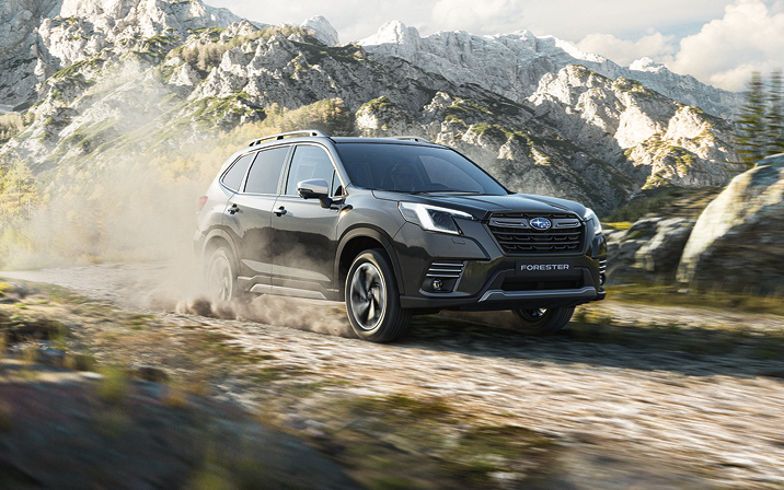 Herbstmarkt mit Subaru Forester